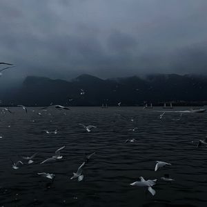 老头扒开粉嫩的小缝亲吻莫娜图片
